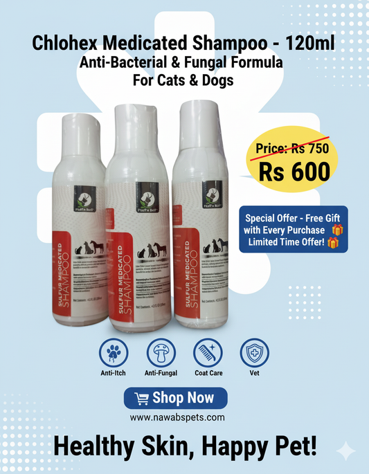 Chlohex Medicated Shampoo – 120ml
Anti-Bacterial & Anti-Fungal Pet Shampoo