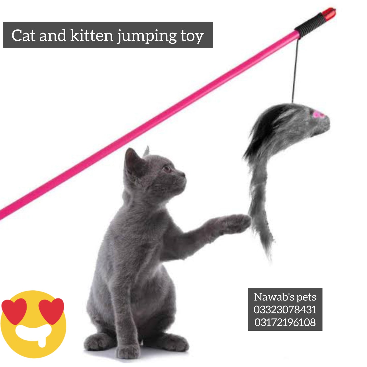 🐾 Cat Teaser Stick Toy – Mouse & Fur Wand