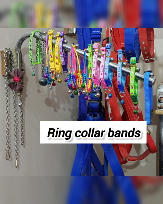 Ring Collar Bands for Cats – Simple, Elegant & Comfortable
