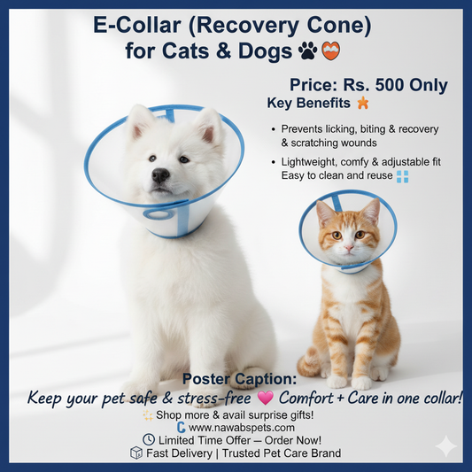 E-Collar (Recovery Cone) for Cats & Dogs 🐶🐱 (s, m, l, xl)