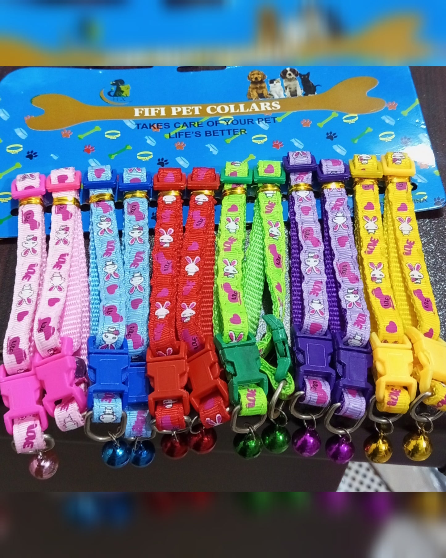 Ring Collar Bands for Cats – Simple, Elegant & Comfortable