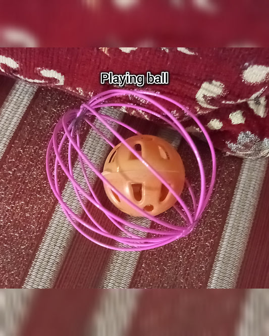 Cat Cage Ball Toy with Bell – Interactive Rolling Toy for Cats