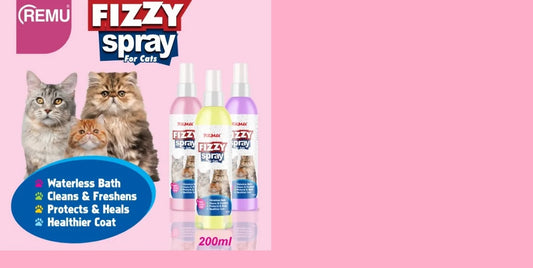 REMU Fizzy Spray for Cats – Waterless Dry Bath